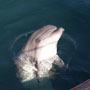 DSC02314.jpg
