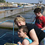 DSC02338.jpg