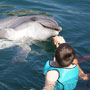 DSC02358.jpg