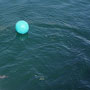 DSC02390.jpg