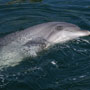 DSC02397.jpg