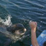 DSC02747.jpg