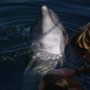 DSC02762.jpg