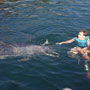DSC02816.jpg
