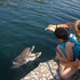 DSC02846.jpg